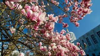 Grant's Getaways:  Oregon's Sweet Spring at Capitol Mall, Nestucca River and Netarts Bay