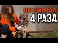 Умирал 4 раза, потому что его жизнь была адом | ТИГРИК - талисман канала «Зоомама»