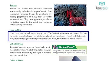 Class 7 Computer Chapter 5 Threats, Crimes and Safety in Computiing |  Smart Book Publisher