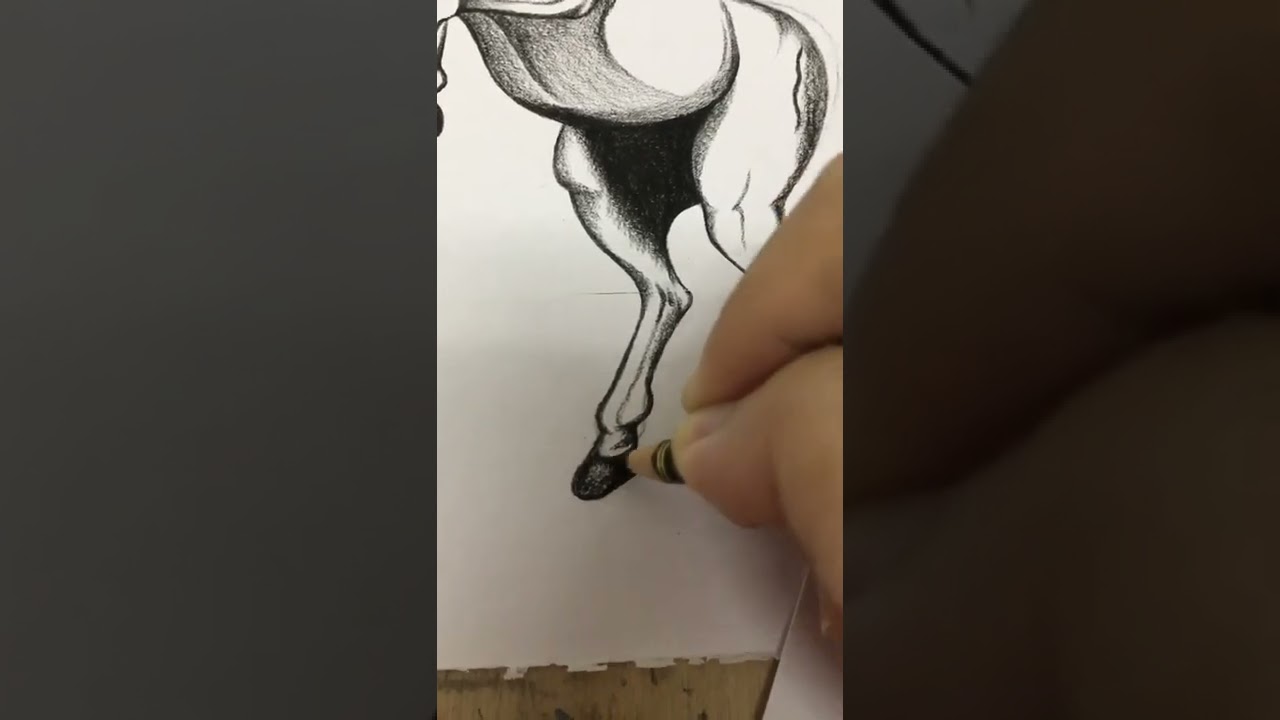draw a flying horse🐎🎨