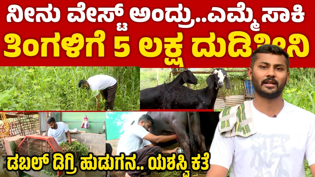 ಡಬಲ್ ಡಿಗ್ರಿ ಮಾಡಿ ನೀನು ವೆಸ್ಟ್ ಅಂದ್ರು..ಎಮ್ಮ ಸಾಕಿ  ಲಕ್ಷ ಲಕ್ಷ ದುಡಿತಿನಿ | former success story