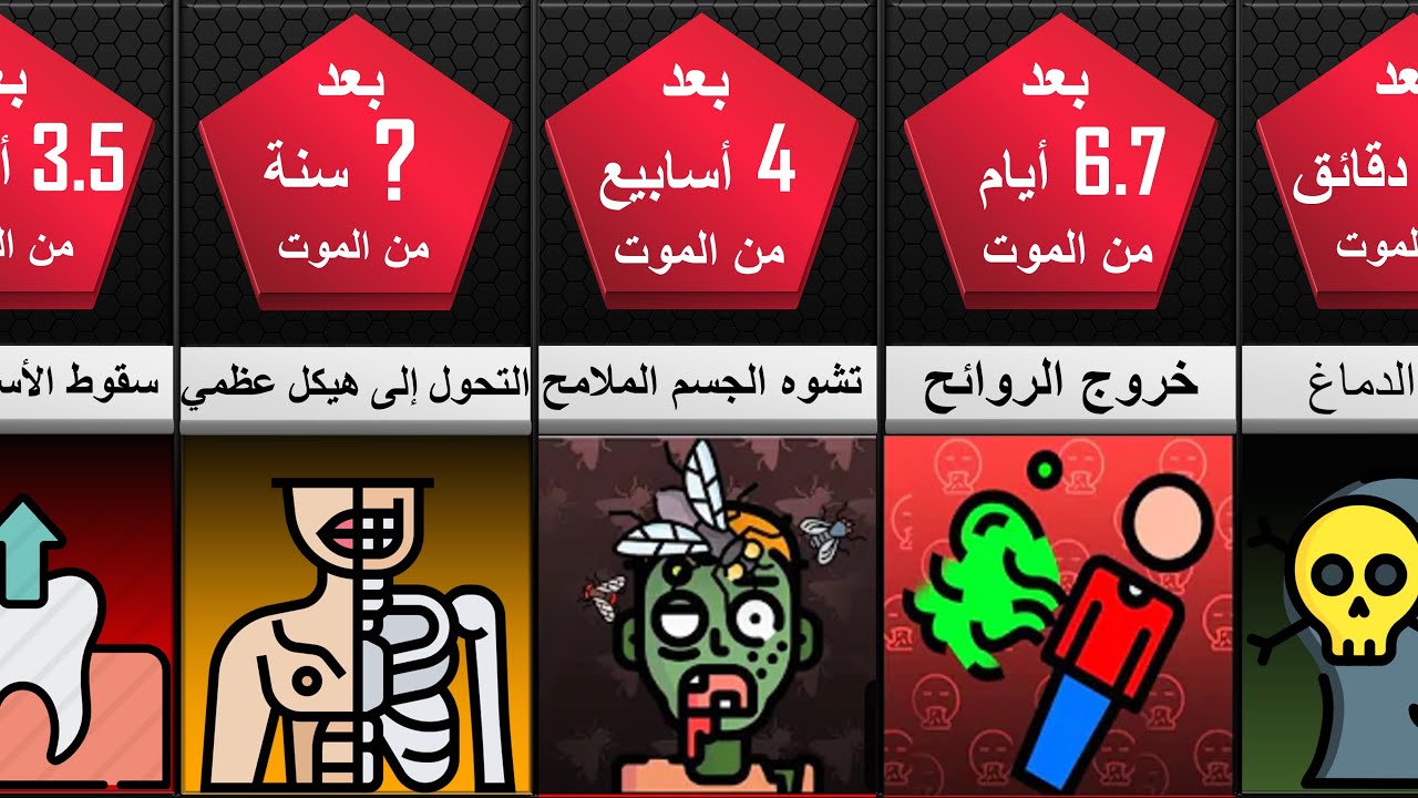 ماذا يحدث لجسم الإنسان بعد الموت من أول ثانية  إلى 20 سنة