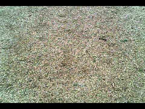 camera iphone 8 plus apk Flying Hubsan X4H107C Quadcopter with camera RTF