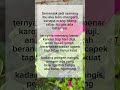 sabar nya seorang ibu #quotes #rumahtangga #islami #vidioviral #fyp