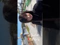 سيليا ليمام فرحتي لاتوصف وهذا السبب سيليا ليمام سيليا ليمام فرحتي لاتوصف وهذا السبب سيليا ليمام