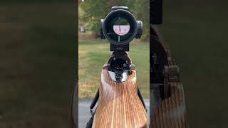How to bore sight your rifle