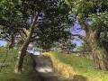 FF11 BGM - Ronfaure