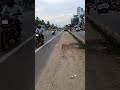 Kazhakoottam highway road near technopark phase3