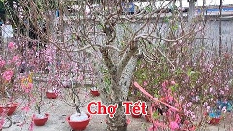 khám phá phiên chợ tết cuối năm ở Na Rì -Bắc Kạn