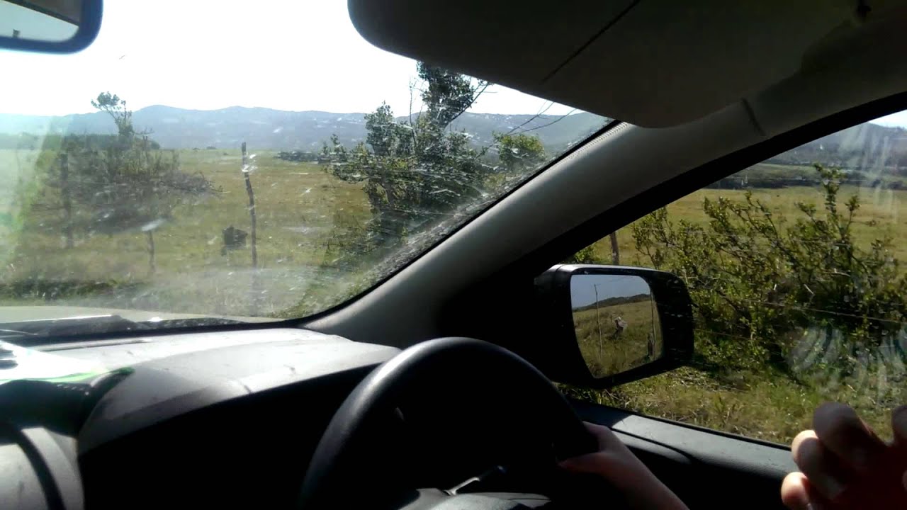 5 Year old Girl Driving 60km h In SA YouTube 5-year-old-girl-driving-60km-h-in-sa-youtube