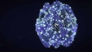 houdini advance simulation with vex control