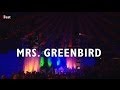 Capture de la vidéo Mrs. Greenbird Full Concert Live @ 3Satfestival 08.11.2013