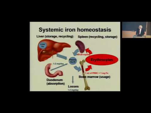 Видео: Удамшлын гемохроматоз нь цус багадалт үүсгэдэг үү?