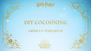 DIY COCOONING - Harry Potter - Créer un terrarium