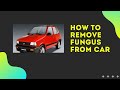How to remove fungus hygienically from your car!!