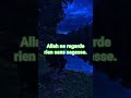 Allah ne regarde rien sans sagesse.#islam #rappel #discipline #tawakkul #patience