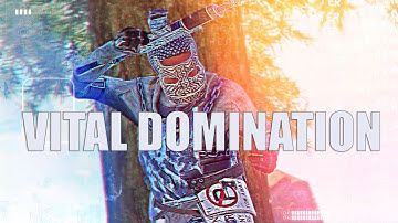VITAL DOMINATION | Pvp | Rust | ZERG v ZERG | #rN #VTM