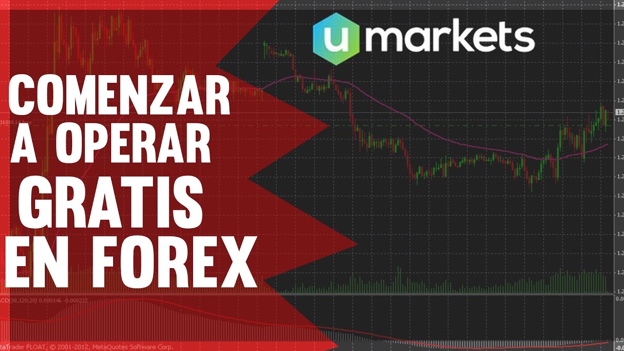 Como comenzar en forex