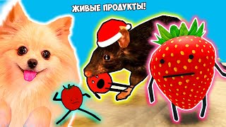 Я СТАЛА ЖИВЫМ ПРОДУКТОМ ! НАПАЛА КРЫСА ! МЕНЯ ХОТЯТ СЪЕСТЬ Ь В РОБЛОКС ! ROBLOX