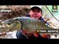 Голавль - круглый год. Алексей Шанин  Часть 1. Anglers Prompt