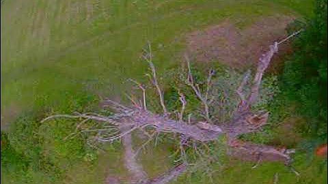 Tinyhawk 2 Freestyle.  Flippidy loopity with a face first crash at the end - Update your ESC!