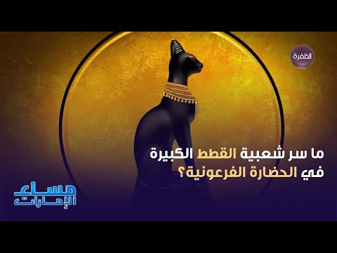 ما سر شعبية القطط الكبيرة في الحضارة الفرعونية