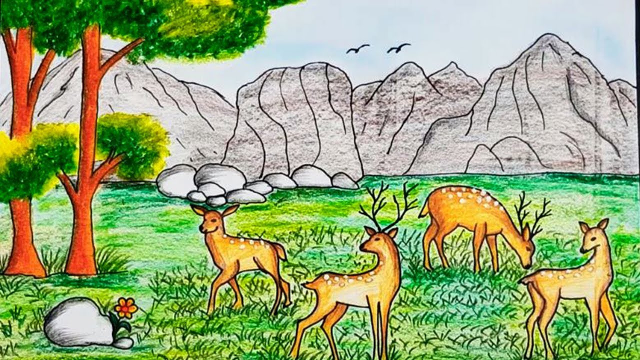 Top 109 + Wild animals in forest drawing - Lifewithvernonhoward.com