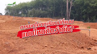 การยกโคกทุเรียนมีกี่แบบ  แบบไหนดีกว่ากัน?