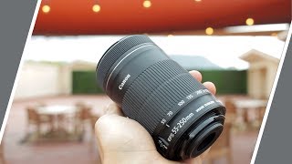 Why I Like the Canon 55-250m IS STM Lens For Photography