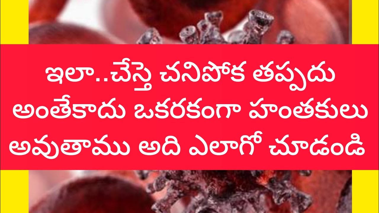 plastic cups tho cancers ఇలాచేస్తే చనిపోకతప్పదుterrace organic Garden
