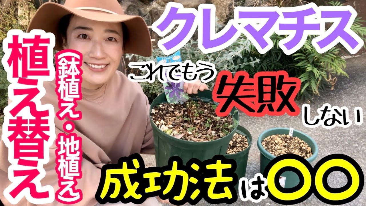 【クレマチス】花を咲かせる第一歩「植え替え」☺️/ 鉢植え・地植え・半地植えの3パターンでご紹介/ 守るべきポイントが鉢・土・位置・根☝️/ 冬の剪定、誘引用のフェンス・支柱の設置あり【ガーデニング】