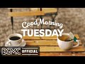 TUESDAY MORNING JAZZ: Positive Instrumental Morning Music & Relax Jazz to Chill Out