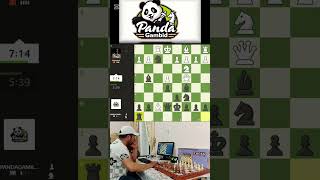 Panda’s Pounce The Trap They Never Saw Coming! screenshot 5