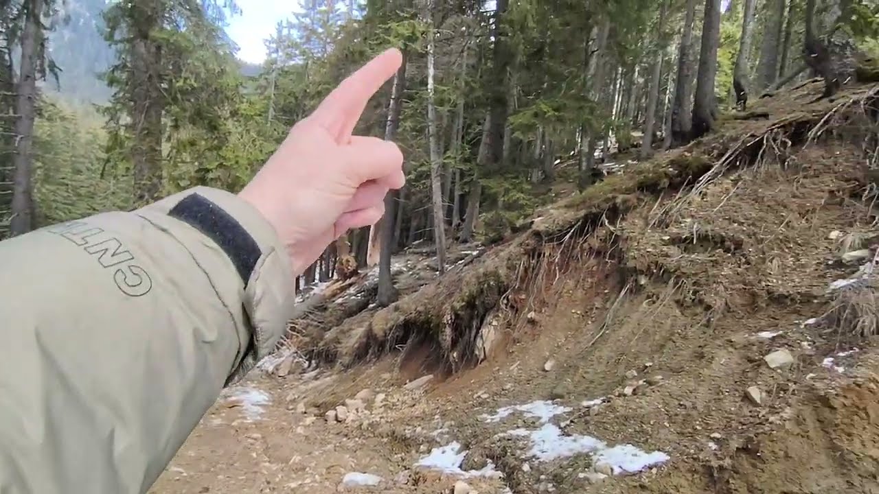 Adventurous Mountain Off-Road fallen trees hiking in snowy nature 