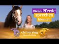 Wenn Pferde sprechen könnten - Pferdesprache - Pferdetricks - friedlich Kommunizieren