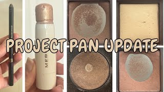 Project Pan Update! An Empty + New Additions!