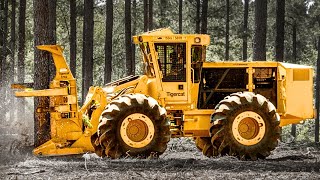 Just Revealed! The World Most INSANE Forestry Machines