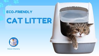 Eco-Friendly Cat Litter Options: Gentle on Cats and Earth by Meow Mastery 58 views 2 months ago 5 minutes, 28 seconds
