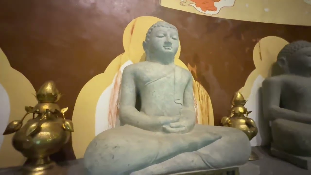 #hanthana #tempal #kandy #nature #srilanka #travel #suscribe us now 🫰🏻