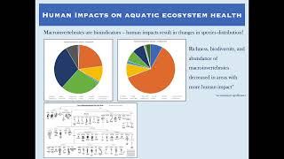 Human Impacts on Aquatic Ecosystem Health