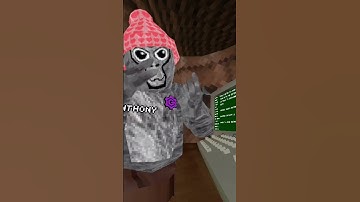 Part 6 Of Joining My Fan Code Until 1k #gorillatag #gorillatagquest #gtag #vrfun #vr #trend#trending