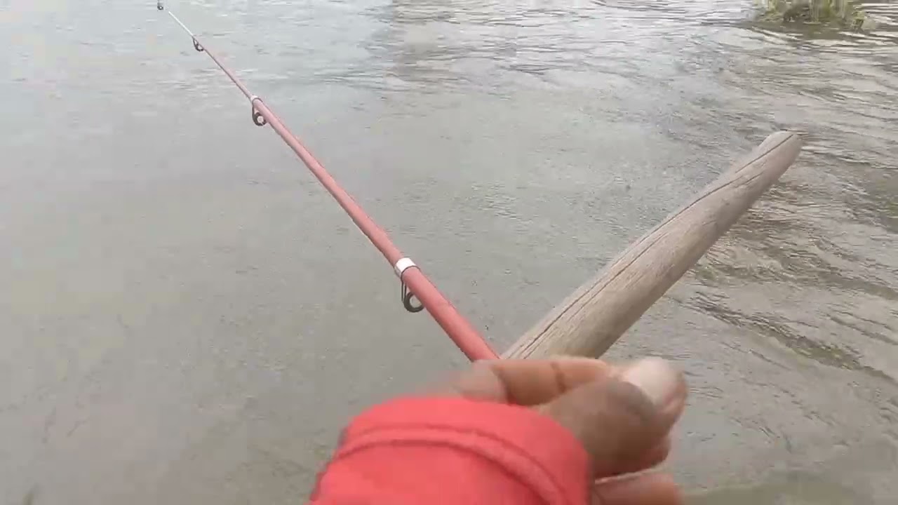 ตกกุ้งแม่น้ำ #กุ้งธรรมชาติ #...@กับ,ลุงเหน่งแห่งบ้านสามน้ำ#