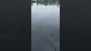 Ngopi Sambil Mancing di Setu Pengasinan