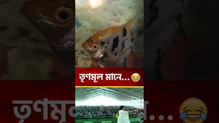Trinamul mane ki sunun 😁🤪 #shorts #short #vairal #tmc #funny