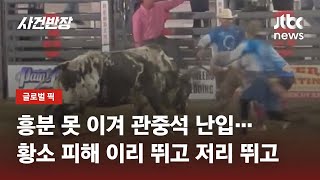 흥분한 황소가 관중석으로? 로데오 경기 중 일어난 '아찔 사고' / JTBC 사건반장