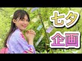 【七夕特別企画】星に願いを~短冊に願いごとを書いて飾ってみた☆彡