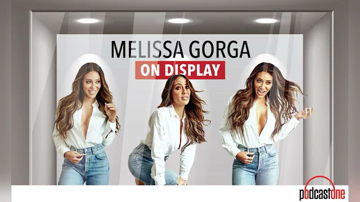 Say It Ain't So, Joe! | Melissa Gorga on Display