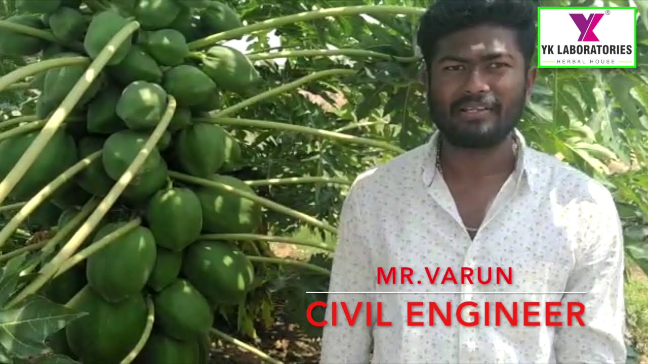 papayaKarnataka civil engineer success story Papaya Organic