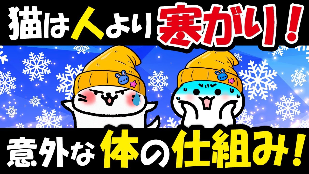 【人より寒がり! 】猫は秋から寒さを感じてる!?意外な体の仕組みと冬を乗り切る３つの対策