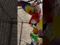 Scarlet Macaws have no trouble keeping themselves busy!